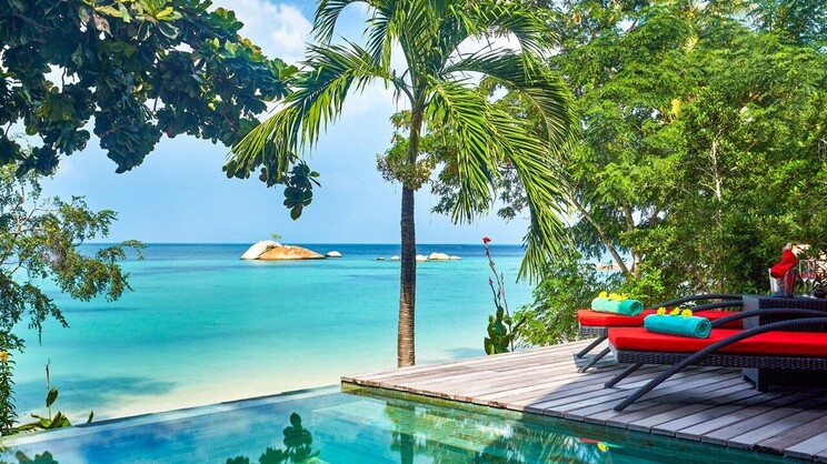 Kupu Kupu Phangan ( Koh Phangan )